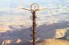 Das Schlangensymbol von Berg Nebo mit wunderschner Aussicht in das Tal