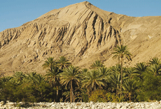 Wnstenlandschaft im Oman, Gebirge und Oase im Vordergrund