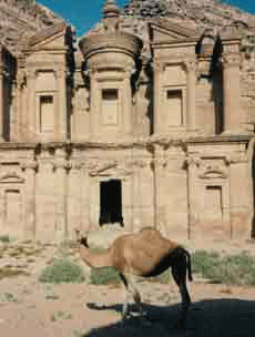 Ein Kamel vor dem Kloster in Petra, Jordanien